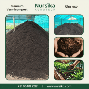 Buy Vermicompost in Odisha