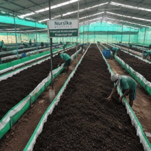 Premium Vermicompost