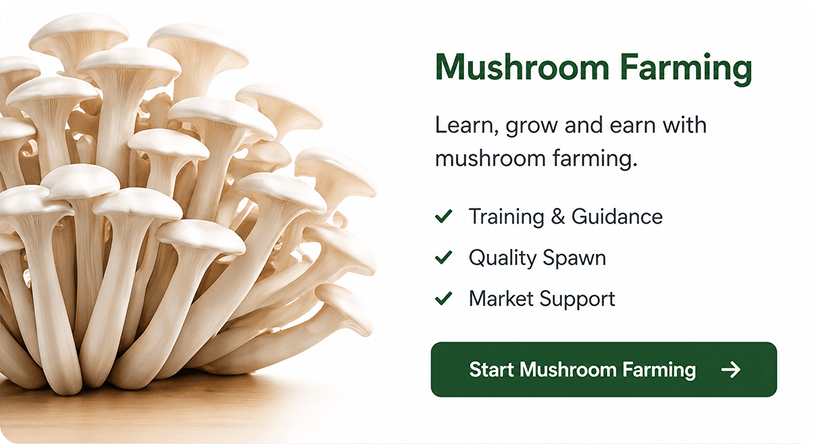 Mushroom Farming