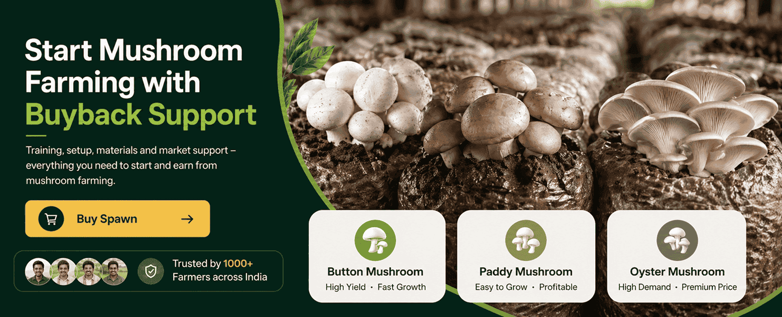 Start Mushroom Farming with Buyback Support