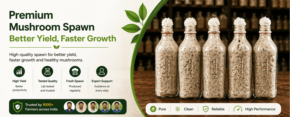 Mushroom Farming Materials