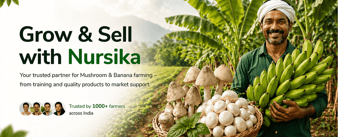 Grow. Sell. Earn Better with Nursika