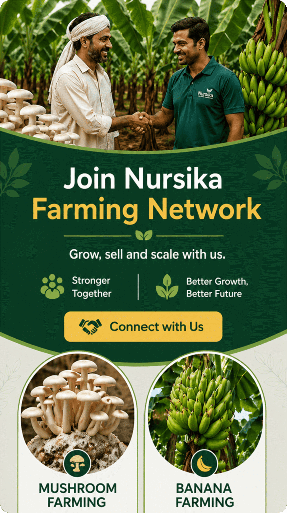 Join Nursika Network