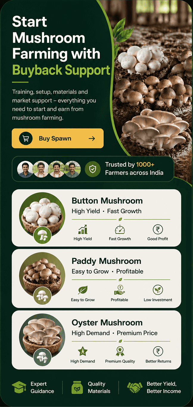 Start Mushroom Farming with Buyback Support