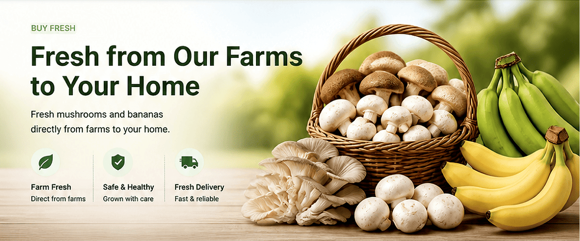 Wholesale Banana Supplier Near Me | Fresh Mushroom Delivery from Farm
